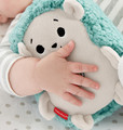 Fisher-Price® Calming Vibes Hedgehog Soother 0+