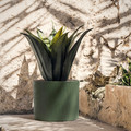 GINNALALÖNN Plant pot, in/outdoor green, 19 cm