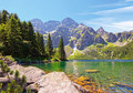 Castor Jigsaw Puzzle Morskie Oko Lake Tatras Poland 1000pcs 12+