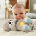 Fisher-Price® Soothe 'n Snuggle Otter 0+