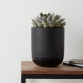 Plant Pot with Saucer GoodHome 12 cm, black