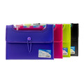 Document Folder with 12 Pockets A4 25mm, purple