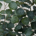 FEJKA Artificial potted plant, in/outdoor eucalyptus, 19 cm