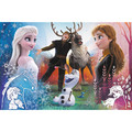 Trefl Children's Puzzle Frozen 300pcs 8+