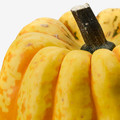 CUCURBITA Decoration pumpkin, assorted