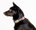 CHABA Adjustable Dog Collar Story III S Aussie