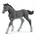 Schleich Trakehner Foal 5+