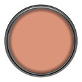 Dulux EasyCare+ Washable Durable Matt Paint 2.5l copper orange