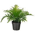 FEJKA Artificial potted plant, indoor/outdoor Whitley Giant, 9 cm