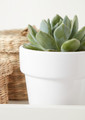 Plant Pot GoodHome 9 cm, white