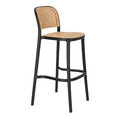 Bar Stool with Backrest Antonio, black