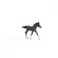 Schleich Trakehner Foal 5+