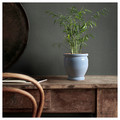 TRUMPETBUSKE Plant pot, in/outdoor blue, 12 cm