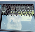 Trixie Ventilation Lattice for Cars