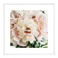 Picture Set Pink Flowers 20 x 20 cm 3-pack