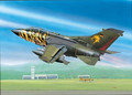 Revell Plastic Model Tornado ECR 8+