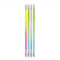 HB Pencil with Rubber Set of 48pcs Ombre