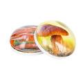 Glass Motiv Magnet 3.5cm 2pcs Pepper/Mushroom