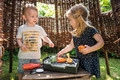 Dantoy Green Garden BBQ Set 2+