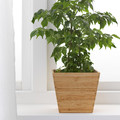 VILDAPEL Plant pot, bamboo, 12 cm