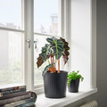 CITRONMELISS Plant pot, in/outdoor/anthracite, 19 cm