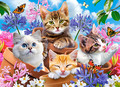 Castorland Children's Puzzle Kittens in Flowers 70pcs 5+