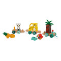 Janod Pull-Along Tropical Train Tropic 12m+