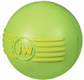 JW Pet iSqueak Ball Dog Toy Medium, assorted colours