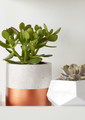 Plant Pot Concrete GoodHome 12 cm, copper