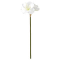 VINTERFINT Artificial flower, in/outdoor/Amaryllis white, 60 cm