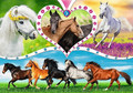 Trefl Children's Puzzles Beautiful Horses 200pcs 7+