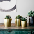 DAIDAI Plant pot, brass-colour, 9 cm