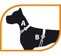 Ferplast Adjustable Dog Harness Ergocomfort P Size L, blue