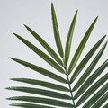 SMYCKA Artificial leaf, in/outdoor/palm green, 100 cm