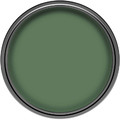 Dulux Walls & Ceiling Matt Latex Paint 2.5L, tropical green