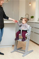Baby Dan - DANCHAIR feeding chair - grey