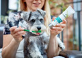 Vet's Best Dental Care Kit for Dogs Adult