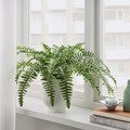 FEJKA Artificial potted plant, in/outdoor fern, 15 cm