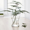 VASEN Vase, clear glass, 20 cm