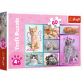 Trefl Children's Puzzle Cute Kittens 60pcs 4+