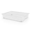 Plastic Storage Box Form Kaze XL 50l, transparent