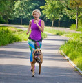 Dingo Belt for Running with Dog, 4 variants