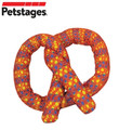 Petstages Cat Catnip Plaque Away Pretzel