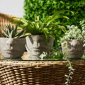 Plant Pot Cover Head 19 cm, indoor, grey