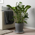 PERSILLADE Plant pot, dark grey, 24 cm