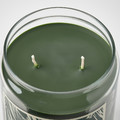 JÄMTSKOGEN Scented cndl in glass w lid/2 wicks, cypress & eucalyptus/dark green, 100 hr