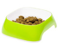 Ferplast Glam Bowl for Dogs Large, green