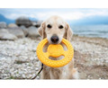 Kiwi Walker Let's Play Dog Toy Frisbee Maxi, orange