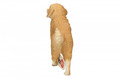 Schleich Golden Retriever, female 3+