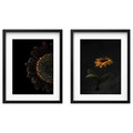 RÖDALM Frame with poster, sunflowers, 40x50 cm, 2 pack